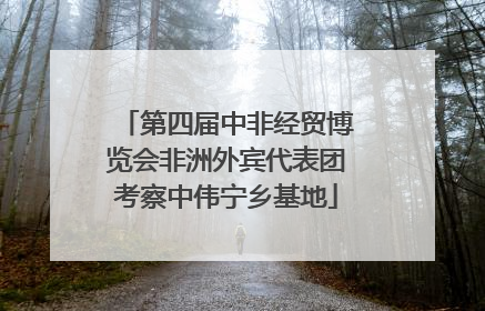 第四届中非经贸博览会非洲外宾代表团考察中伟宁乡基地