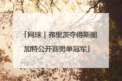 网球｜弗里茨夺得斯图加特公开赛男单冠军
