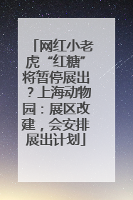 网红小老虎“红糖”将暂停展出？上海动物园：展区改建，会安排展出计划