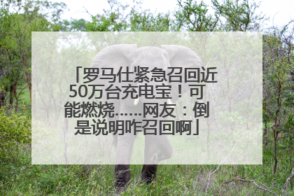 罗马仕紧急召回近50万台充电宝！可能燃烧……网友：倒是说明咋召回啊