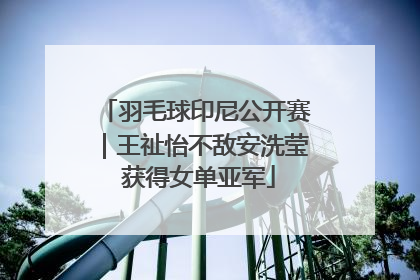 羽毛球印尼公开赛｜王祉怡不敌安洗莹 获得女单亚军