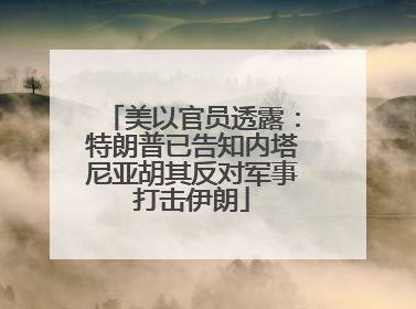 美以官员透露：特朗普已告知内塔尼亚胡其反对军事打击伊朗