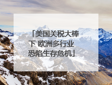 美国关税大棒下 欧洲多行业恐陷生存危机
