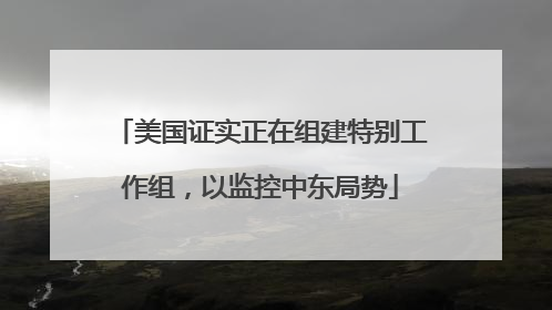 美国证实正在组建特别工作组，以监控中东局势