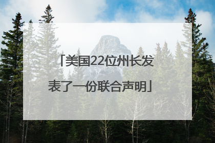 美国22位州长发表了一份联合声明