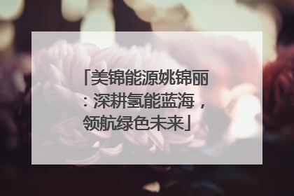 美锦能源姚锦丽：深耕氢能蓝海，领航绿色未来