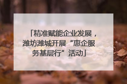精准赋能企业发展，潍坊潍城开展“惠企服务基层行”活动