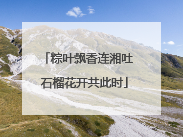 粽叶飘香连湘吐 石榴花开共此时