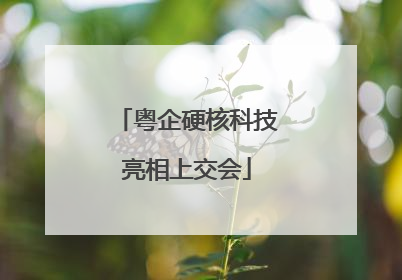 粤企硬核科技亮相上交会