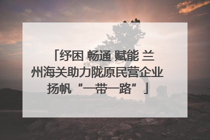 纾困 畅通 赋能 兰州海关助力陇原民营企业扬帆“一带一路”