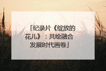 纪录片《绽放的花儿》：共绘融合发展时代画卷