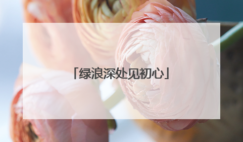 绿浪深处见初心