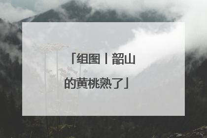 组图丨韶山的黄桃熟了