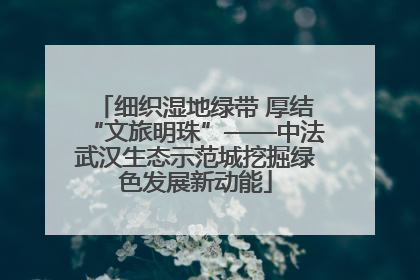 细织湿地绿带 厚结“文旅明珠”——中法武汉生态示范城挖掘绿色发展新动能