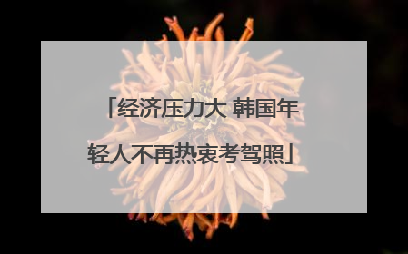 经济压力大 韩国年轻人不再热衷考驾照