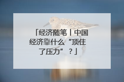 经济随笔丨中国经济靠什么“顶住了压力”？