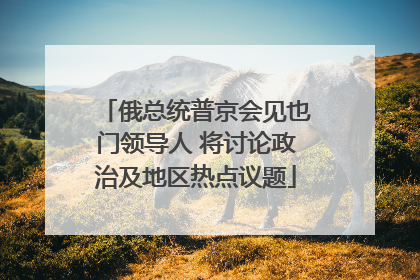俄总统普京会见也门领导人 将讨论政治及地区热点议题