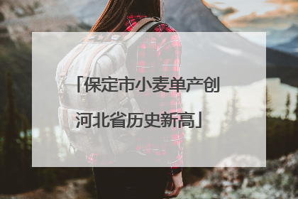 保定市小麦单产创河北省历史新高