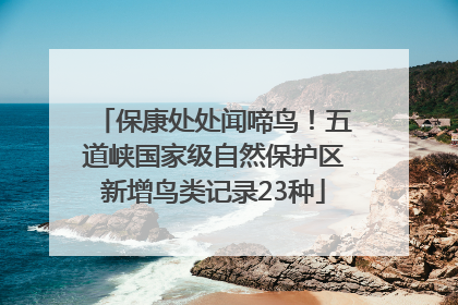 保康处处闻啼鸟！五道峡国家级自然保护区新增鸟类记录23种