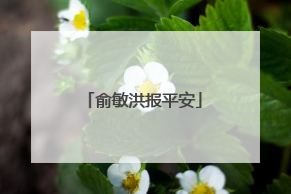 俞敏洪报平安