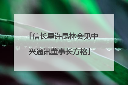 信长星许昆林会见中兴通讯董事长方榕