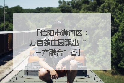信阳市浉河区：万亩茶庄园飘出“三产融合”香