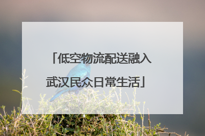 低空物流配送融入武汉民众日常生活