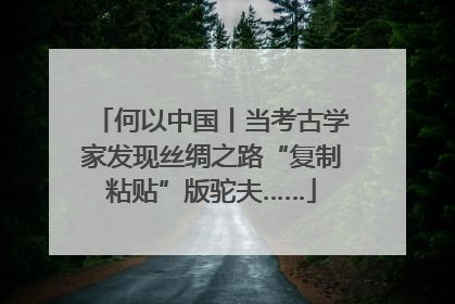 何以中国丨当考古学家发现丝绸之路“复制粘贴”版驼夫……
