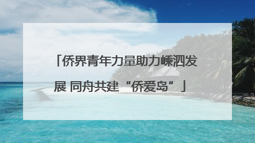 侨界青年力量助力嵊泗发展 同舟共建“侨爱岛”