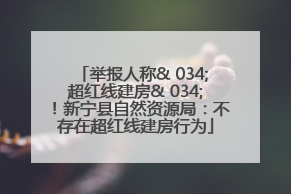 举报人称& 034;超红线建房& 034;！新宁县自然资源局：不存在超红线建房行为