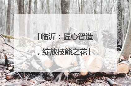 临沂：匠心智造，绽放技能之花