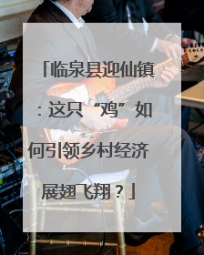 临泉县迎仙镇：这只“鸡”如何引领乡村经济展翅飞翔？