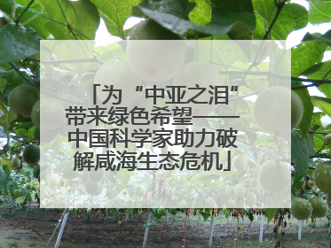 为“中亚之泪”带来绿色希望——中国科学家助力破解咸海生态危机