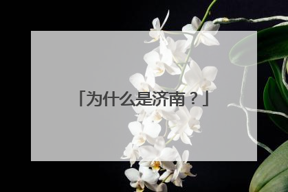 为什么是济南？