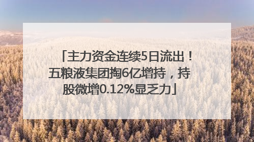 主力资金连续5日流出！五粮液集团掏6亿增持，持股微增0.12%显乏力