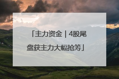 主力资金｜4股尾盘获主力大幅抢筹