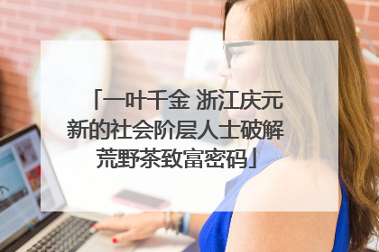 一叶千金 浙江庆元新的社会阶层人士破解荒野茶致富密码