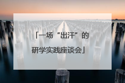 一场“出汗”的研学实践座谈会