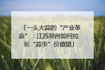 一头大蒜的“产业革命”：江苏邳州如何拉长“蒜事”价值链