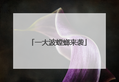 一大波螳螂来袭