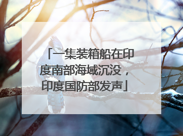 一集装箱船在印度南部海域沉没，印度国防部发声