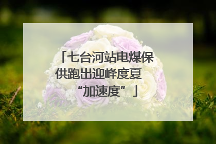 七台河站电煤保供跑出迎峰度夏 “加速度”