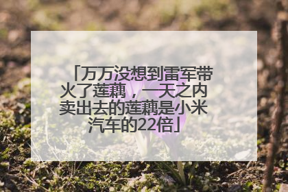 万万没想到雷军带火了莲藕，一天之内卖出去的莲藕是小米汽车的22倍