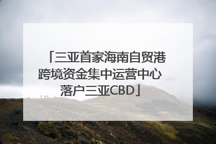 三亚首家海南自贸港跨境资金集中运营中心落户三亚CBD