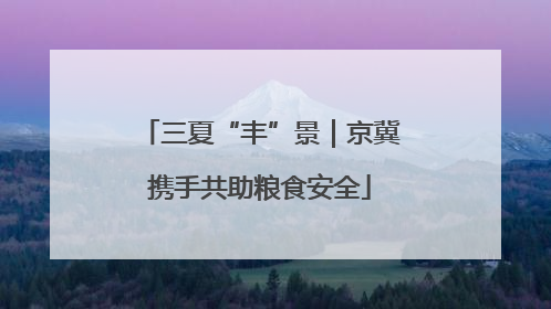 三夏“丰”景｜京冀携手共助粮食安全