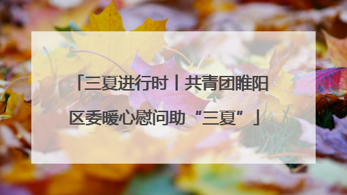 三夏进行时丨共青团睢阳区委暖心慰问助“三夏”