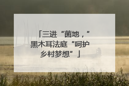 三进“菌地，”黑木耳法庭“呵护乡村梦想”