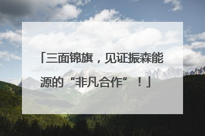 三面锦旗，见证振森能源的“非凡合作”！