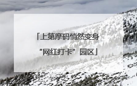 上第摩码悄然变身“网红打卡”园区