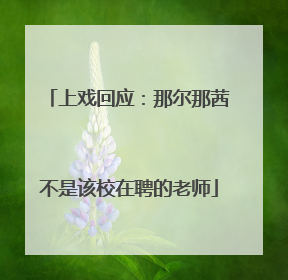 上戏回应：那尔那茜不是该校在聘的老师